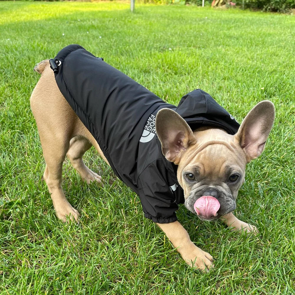 Cozy Waterproof Hooded Jacket for Small Dogs & Cats - Reflective Winter Coat for Ultimate Warmth